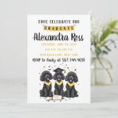 Kom feest met onze afgestudeerde Standard Poodle h Aankondiging (Staand voorkant)