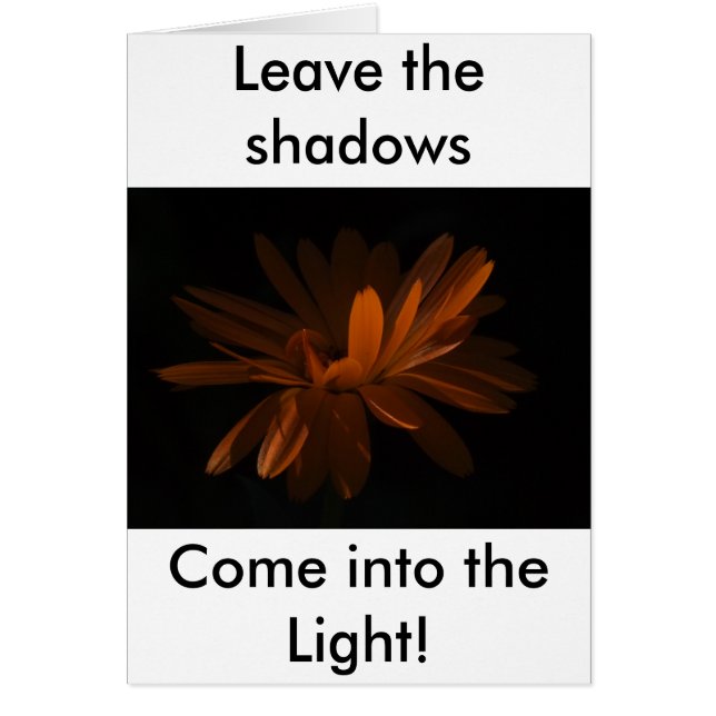 Kom in het licht! (Voorkant)