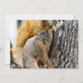 Kom je mee? (Voorkant)