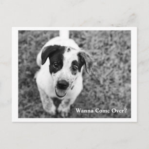 Kom je mee? briefkaart