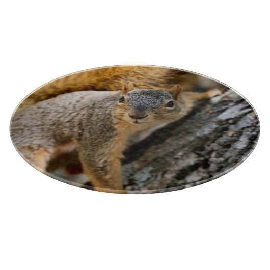 Kom je mee? snijplank (Hoek)