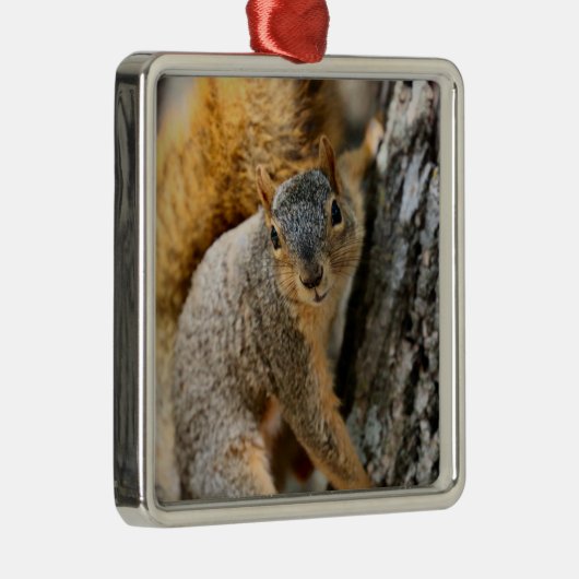 Kom je niet? metalen ornament (Rechts)