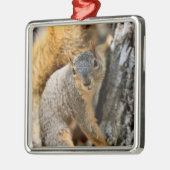 Kom je niet? metalen ornament (Links)