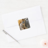 Kom je niet? vierkante sticker (Envelop)