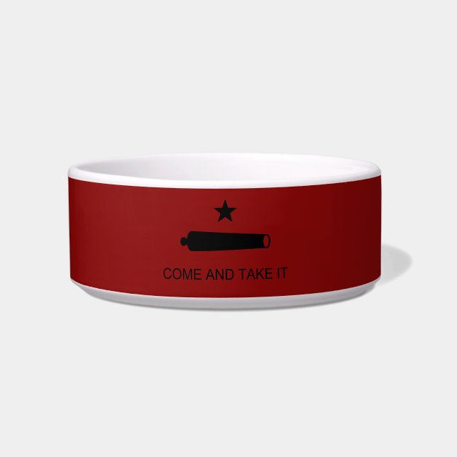 Kom mee! De veldslag van de staat Texas (Voorkant)