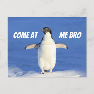 Kom mee naar het Bro Meme Penguin Briefkaart