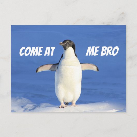 Kom mee naar het Bro Meme Penguin Briefkaart (Voorkant)