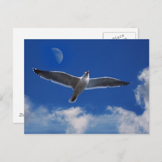 Kom met me mee. briefkaart (Voorkant / Achterkant)