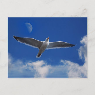 Kom met me mee. briefkaart