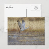 kom met me mee briefkaart (Voorkant / Achterkant)