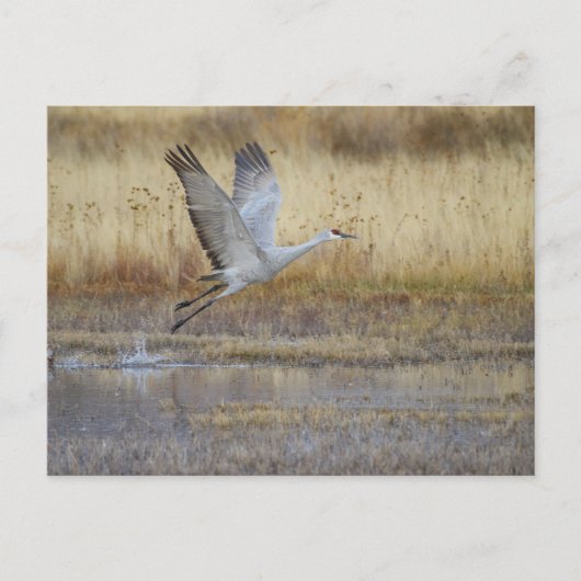 kom met me mee briefkaart (Voorkant)