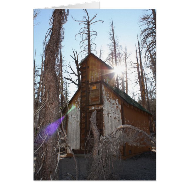 Kom met me mee! - Gepersonaliseerd (Voorkant)