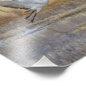 Kom met me mee vliegen foto afdruk (Hoek)