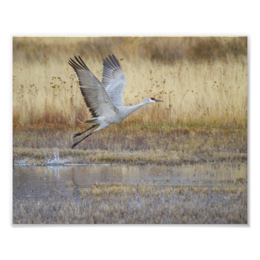 Kom met me mee vliegen foto afdruk (Voorkant)