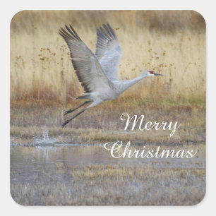 Kom met me mee vliegen, prettige kerst vierkante sticker
