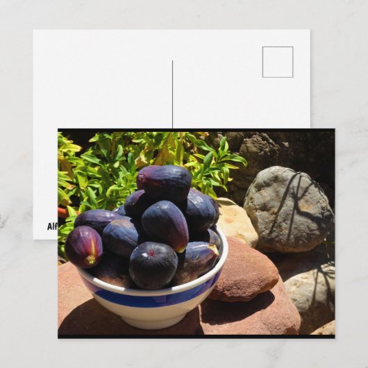Kom met vijgenfruit op steen briefkaart (Voorkant / Achterkant)