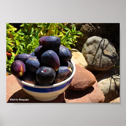 Kom met vijgenfruit op steen poster (Voorkant)