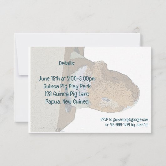 Kom naar buiten en speel uitnodiging voor cavia-fe (Achterkant)