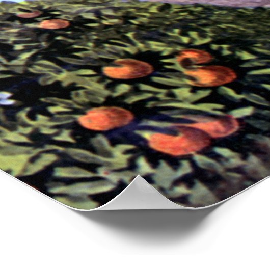 Kom naar California  Graphic Poster (Hoek)