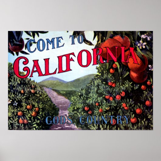 Kom naar California  Graphic Poster (Voorkant)
