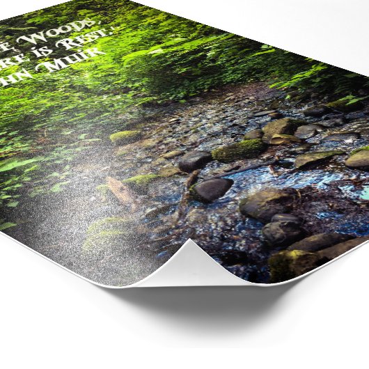 Kom naar de Bossen Foto Afdruk (Hoek)