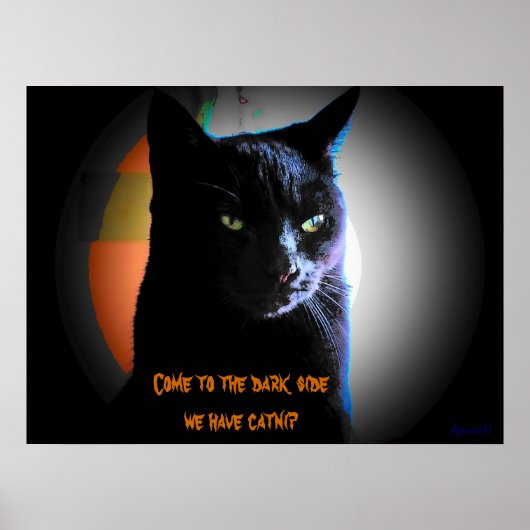 Kom naar de donkere kant. We hebben een krap Poster (Voorkant)