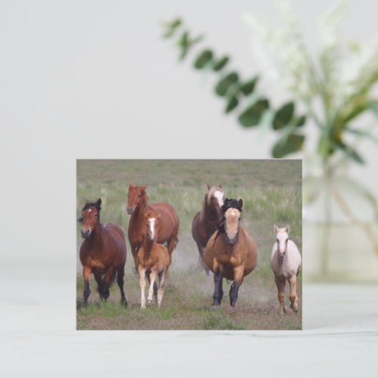 Kom naar je toe briefkaart (Staand voorkant)