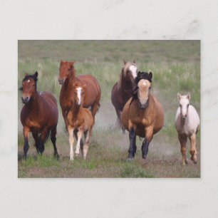 Kom naar je toe briefkaart