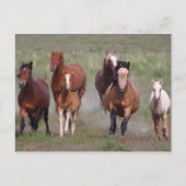 Kom naar je toe briefkaart (Voorkant)