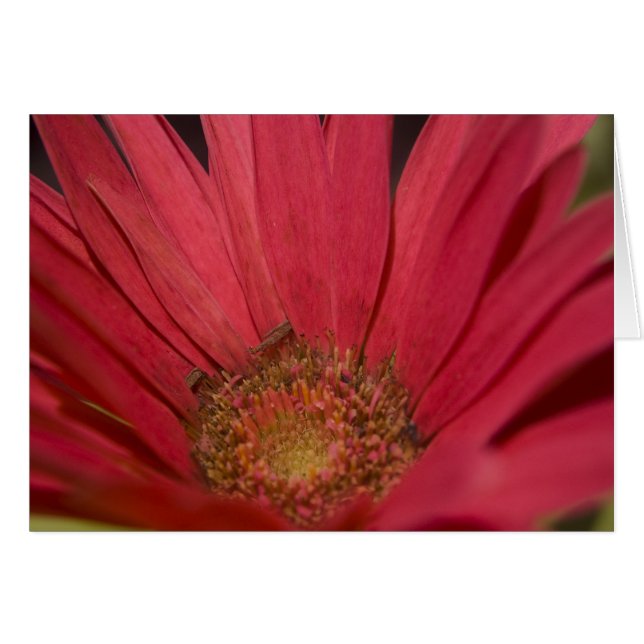 Kom naar je zintuigenkaart (Voorkant Horizontaal)