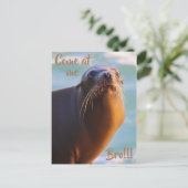 Kom naar me, bro. briefkaart (Staand voorkant)