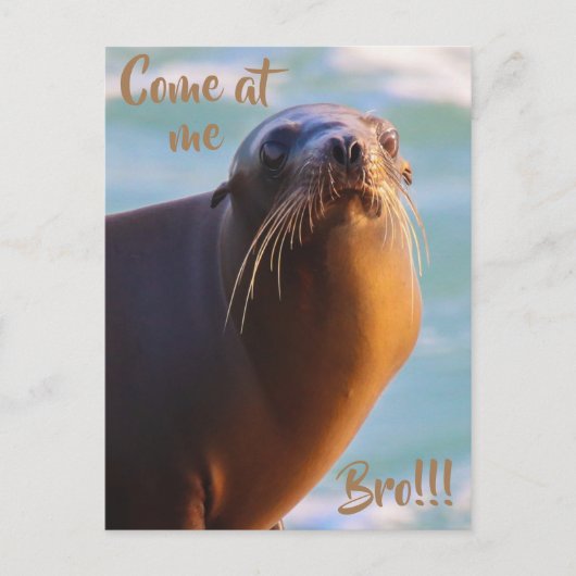 Kom naar me, bro. briefkaart (Voorkant)