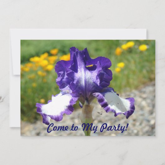 Kom naar mijn feestje! Birthday Party Fun-uitnodig Kaart (Voorkant)