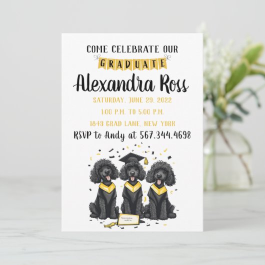 Kom onze afgestudeerde standaard Poodles vieren Aankondiging (Staand voorkant)