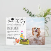 Kom op, blijf zitten, hond, geboortedag kaart (Staand voorkant)