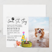 Kom op, blijf zitten, hond, geboortedag kaart (Voorkant / Achterkant)