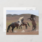 Kom op briefkaart (Voorkant / Achterkant)