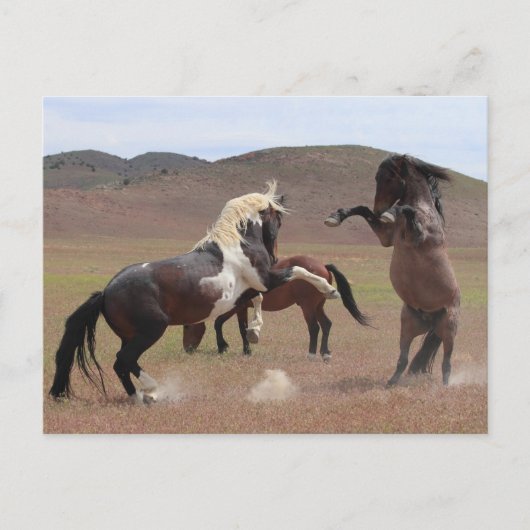 Kom op briefkaart (Voorkant)