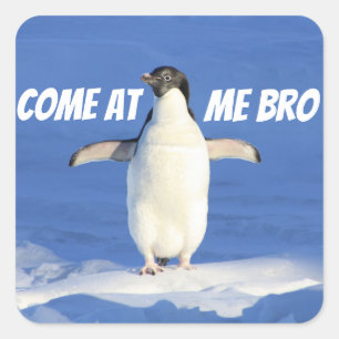 Kom op me Bro Meme Penguin Vierkante Sticker