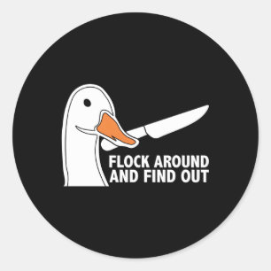 Kom rond en ontdek gans met messenganzen ronde sticker