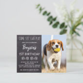 Kom Sit Blijf spelen Chalkboard Puppy Dog Verjaard Uitnodiging Briefkaart (Staand voorkant)
