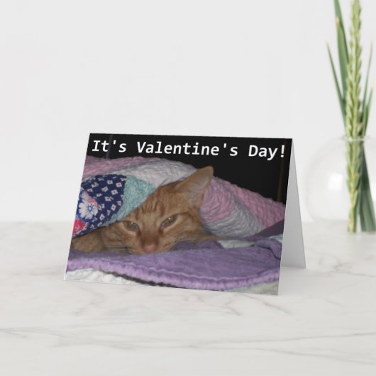 Kom Snuggle Cat Valentijn Feestdagen Kaart (Voorkant)