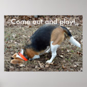 Kom uit en speel Beagle Digging Poster (Voorkant)
