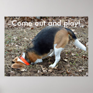 Kom uit en speel Beagle Digging Poster
