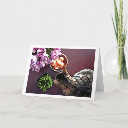 Kom van eieren. Momentopname 3 Feestdagen Kaart (Voorkant)