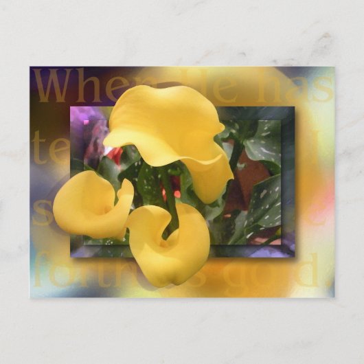 Kom voor als goud briefkaart (Voorkant)