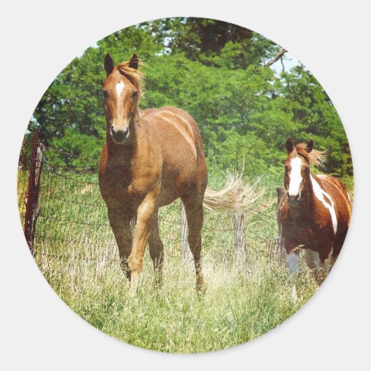 Kom wanneer geroepen, Twee Paarden Ronde Sticker (Voorkant)