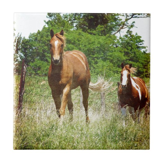 Kom wanneer geroepen, Twee Paarden Tegeltje (Voorkant)