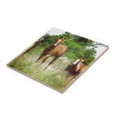 Kom wanneer geroepen, Twee Paarden Tegeltje (Zijkant)