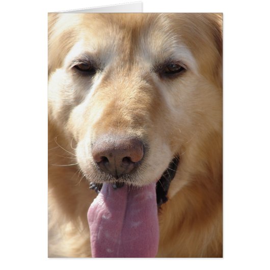 Komaan de Golden (Voorkant)